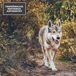 MOON Ranger Junior Huhn & Kalb Mit Süßkartoffeln & Johannisbeeren -Deutschland Wuff Spielzeug Verkaufs-Shop 3 Ursprunglich Naturnah Artgerecht5ee091c21ed88