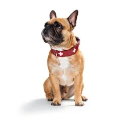 Hunter Halsband Swiss Nickel Rot/Schwarz -Deutschland Wuff Spielzeug Verkaufs-Shop 41744 hunter halsband swiss nickel rot schwarz 00