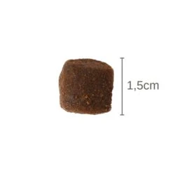 GranataPet Natural Taste Ente & Forelle -Deutschland Wuff Spielzeug Verkaufs-Shop 63347 04