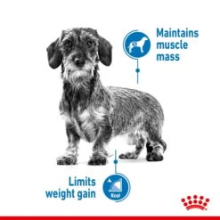 ROYAL CANIN LIGHT WEIGHT CARE Nassfutter Für Hunde Mit Neigung Zu Übergewicht12x85g -Deutschland Wuff Spielzeug Verkaufs-Shop 9003579008690 25f1ed1187fc4b
