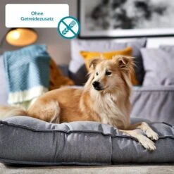 ZooRoyal Gourmet Sticks Mega Mixpaket 50x6x11g -Deutschland Wuff Spielzeug Verkaufs-Shop Hund 3 ohne Getreide60d9db4ade270