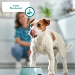 ZooRoyal Gourmet Sticks Mega Mixpaket 50x6x11g -Deutschland Wuff Spielzeug Verkaufs-Shop Hund 5a hoher Fleischanteil60d9db4d59722