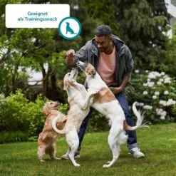 ZooRoyal Gourmet Sticks Mega Mixpaket 50x6x11g -Deutschland Wuff Spielzeug Verkaufs-Shop Hund 9 Training60d9db5097c22