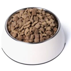 Deutschland Wuff Spielzeug Verkaufs-Shop -Deutschland Wuff Spielzeug Verkaufs-Shop My Friend Kroketten Hundefutter 20kg 3