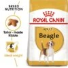 ROYAL CANIN Beagle Adult Hundefutter Trocken -Deutschland Wuff Spielzeug Verkaufs-Shop RoyalCanin Hundefutter Beagle 1
