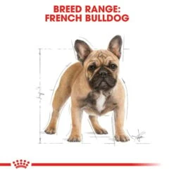 ROYAL CANIN French Bulldog Adult Hundefutter Trocken Für Französische Bulldoggen -Deutschland Wuff Spielzeug Verkaufs-Shop RoyalCanin Hundefutter FrenchBulldog 6