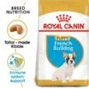 ROYAL CANIN French Bulldog Puppy Welpenfutter Trocken Für Französische Bulldoggen -Deutschland Wuff Spielzeug Verkaufs-Shop RoyalCanin Hundefutter FrenchBulldog Puppy 1
