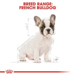 ROYAL CANIN French Bulldog Puppy Welpenfutter Trocken Für Französische Bulldoggen -Deutschland Wuff Spielzeug Verkaufs-Shop RoyalCanin Hundefutter FrenchBulldog Puppy 7
