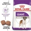 ROYAL CANIN GIANT Adult Trockenfutter Für Sehr Große Hunde -Deutschland Wuff Spielzeug Verkaufs-Shop RoyalCanin Hundefutter Giant Adult 1