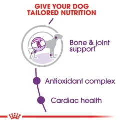 ROYAL CANIN GIANT Adult Trockenfutter Für Sehr Große Hunde -Deutschland Wuff Spielzeug Verkaufs-Shop RoyalCanin Hundefutter Giant Adult 3