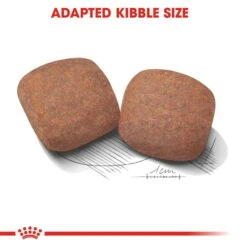 ROYAL CANIN GIANT Adult Trockenfutter Für Sehr Große Hunde -Deutschland Wuff Spielzeug Verkaufs-Shop RoyalCanin Hundefutter Giant Adult 4