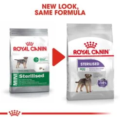 ROYAL CANIN STERILISED MINI Trockenfutter Für Kastrierte Kleine Hunde -Deutschland Wuff Spielzeug Verkaufs-Shop RoyalCanin Hundefutter Sterilised Mini 7