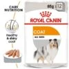 ROYAL CANIN COAT CARE Nassfutter Für Glänzendes Fell 12x85g -Deutschland Wuff Spielzeug Verkaufs-Shop RoyalCanin Hundefutter CCN CoatCare Nassfutter 15f1ecdf763efb