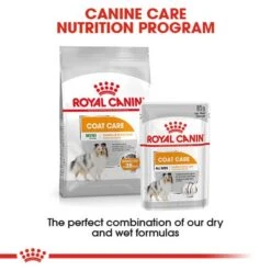 ROYAL CANIN COAT CARE Nassfutter Für Glänzendes Fell 12x85g -Deutschland Wuff Spielzeug Verkaufs-Shop RoyalCanin Hundefutter CCN CoatCare Nassfutter 65f1ecdfb5fb08