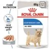 ROYAL CANIN LIGHT WEIGHT CARE Nassfutter Für Hunde Mit Neigung Zu Übergewicht12x85g -Deutschland Wuff Spielzeug Verkaufs-Shop RoyalCanin Hundefutter CCN LightWeightCare Nassfutter 15f1ed10dc38e3