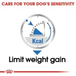 ROYAL CANIN LIGHT WEIGHT CARE Nassfutter Für Hunde Mit Neigung Zu Übergewicht12x85g -Deutschland Wuff Spielzeug Verkaufs-Shop RoyalCanin Hundefutter CCN LightWeightCare Nassfutter 35f1ed10f73a8b