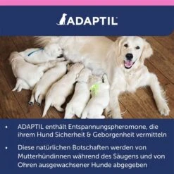Adaptil Junior Halsband 22 Adaptil Junior Halsband -Deutschland Wuff Spielzeug Verkaufs-Shop adaptil junior halsband 10