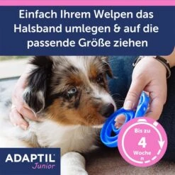 Adaptil Junior Halsband 16 Adaptil Junior Halsband -Deutschland Wuff Spielzeug Verkaufs-Shop adaptil junior halsband 4