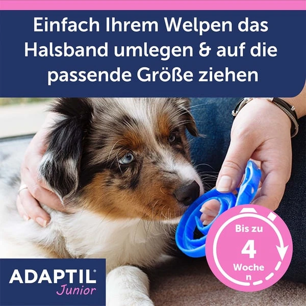 Adaptil Junior Halsband 6 Adaptil Junior Halsband – Bild 4