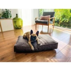 Aumüller Hundebett Basic Rechteckig 78 Cm -Deutschland Wuff Spielzeug Verkaufs-Shop aumueller hundebett basic rechteckig web 1