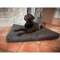 Aumüller Hundebett Basic Rechteckig 58 Cm -Deutschland Wuff Spielzeug Verkaufs-Shop aumueller hundebett basic rechteckig web 4rDR4nwzsx6gyK