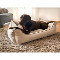 Aumüller Hundebett Sofa Ortho Line 100 Cm -Deutschland Wuff Spielzeug Verkaufs-Shop aumueller hundebett bed sofa ortho line beige web 4S3Hftiuvc1jrF