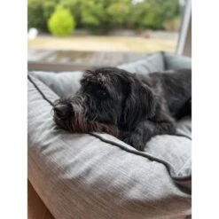 Aumüller Hundebett Sofa Ortho Line 80 Cm -Deutschland Wuff Spielzeug Verkaufs-Shop aumueller hundebett bed sofa ortho line grau web 9