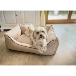 Aumüller Hundebett Sofa Basic 117 Cm -Deutschland Wuff Spielzeug Verkaufs-Shop aumueller hundebett sofa basic beige web 4VebHcfIuf18z2