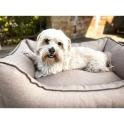 Aumüller Hundebett Sofa Basic 117 Cm -Deutschland Wuff Spielzeug Verkaufs-Shop aumueller hundebett sofa basic beige web 8
