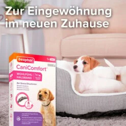Beaphar CaniComfort® Wohlfühl Halsband Für Welpen 8 Beaphar CaniComfort® Wohlfühl Halsband Für Welpen -Deutschland Wuff Spielzeug Verkaufs-Shop beaphar canicomfort wohlfuehl halsband welpe 3