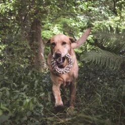 Beco Pets Hundespielzeug Hanf Ring Ø 17 Cm -Deutschland Wuff Spielzeug Verkaufs-Shop beco pets hundespielzeug hanf ring 1