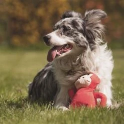 Beco Pets Kuschelspielzeug Affe -Deutschland Wuff Spielzeug Verkaufs-Shop beco pets kuschelspielzeug affe 3