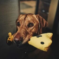 Beco Pets Kuschelspielzeug Giraffe -Deutschland Wuff Spielzeug Verkaufs-Shop beco pets kuschelspielzeug giraffe 3