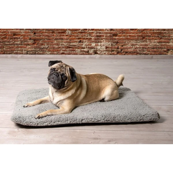 Beeztees Orthopädisches Memory Foam Hundekissen Ito 4 Beeztees Orthopädisches Memory Foam Hundekissen Ito – Bild 2