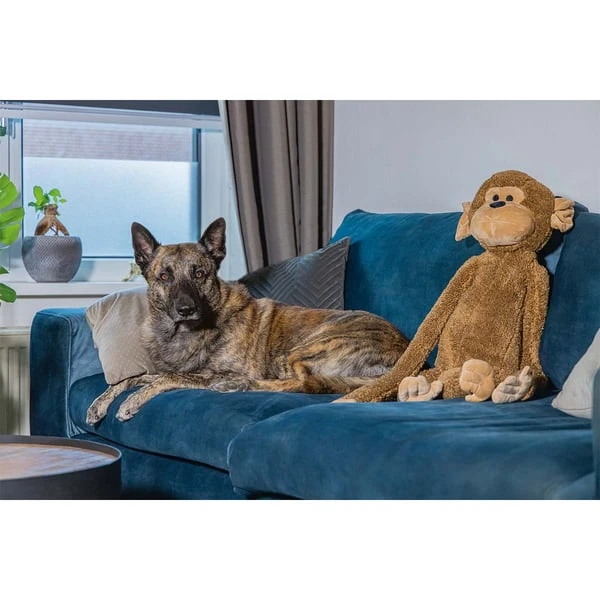 Beeztees XL Hundespielzeug Plüsch Affe Vik Braun 4 Beeztees XL Hundespielzeug Plüsch Affe Vik Braun – Bild 2