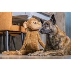 Beeztees XL Hundespielzeug Plüsch Affe Vik Braun 7 Beeztees XL Hundespielzeug Plüsch Affe Vik Braun -Deutschland Wuff Spielzeug Verkaufs-Shop beeztees xl hundespielzeug plusch affe vik braun 3