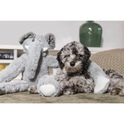 Beeztees XL Hundespielzeug Plüsch Elefant James Grau -Deutschland Wuff Spielzeug Verkaufs-Shop beeztees xl hundespielzeug plusch elefant james grau 3