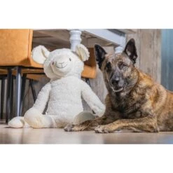 Beeztees XL Hundespielzeug Plüsch Schaf Jessy Weiß -Deutschland Wuff Spielzeug Verkaufs-Shop beeztees xl hundespielzeug plusch schaf jessy weiss 3