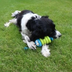 Coockoo Kauspielzeug Larry -Deutschland Wuff Spielzeug Verkaufs-Shop coockoo kauspielzeug larry 1