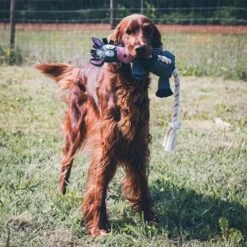 DUVO+ Farm Friends Donald Donkey 49cm -Deutschland Wuff Spielzeug Verkaufs-Shop duvoplus farm friends donald donkey 49cm web 3