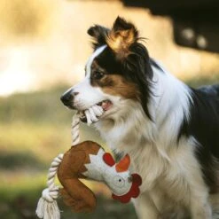 DUVO+ Farm Friends Ruby Rooster 37cm -Deutschland Wuff Spielzeug Verkaufs-Shop duvoplus farm friends ruby rooster 37cm web 3