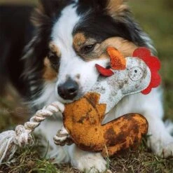 DUVO+ Farm Friends Ruby Rooster 37cm -Deutschland Wuff Spielzeug Verkaufs-Shop duvoplus farm friends ruby rooster 37cm web 4