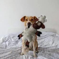 DUVO+ Farm Friends Sebastian Sheep 49cm -Deutschland Wuff Spielzeug Verkaufs-Shop duvoplus farm friends sebastian sheep 49 cm web 3