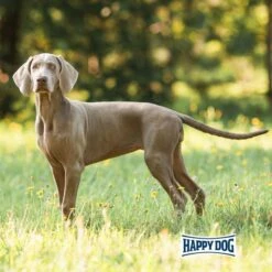 Happy Dog Supreme Fit & Vital Light -Deutschland Wuff Spielzeug Verkaufs-Shop happy dog fit und vital light 6