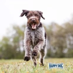 Happy Dog Supreme Fit & Vital Senior -Deutschland Wuff Spielzeug Verkaufs-Shop happy dog fit und vital senior 6