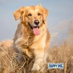 Happy Dog NaturCroq Active -Deutschland Wuff Spielzeug Verkaufs-Shop happy dog natur croq active 7