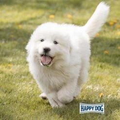 Happy Dog Supreme Junior Giant Lamb & Rice 15kg -Deutschland Wuff Spielzeug Verkaufs-Shop happy dog young giant junior lamm reis 7