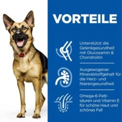 Hill's Science Plan Hund Large Breed Mature Adult 6+ Huhn 14kg -Deutschland Wuff Spielzeug Verkaufs-Shop hills science plan hund large breed mature adult 6 huhn web 3