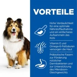 Hill's Science Plan Sensitive Stomach&Skin Medium 14kg -Deutschland Wuff Spielzeug Verkaufs-Shop hills sience plan hund perfect sensitive stomach skin medium large adult web 3