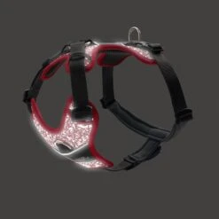 Hunter Geschirr Divo Reflect Rot -Deutschland Wuff Spielzeug Verkaufs-Shop hunter geschirr divo reflect rot 2